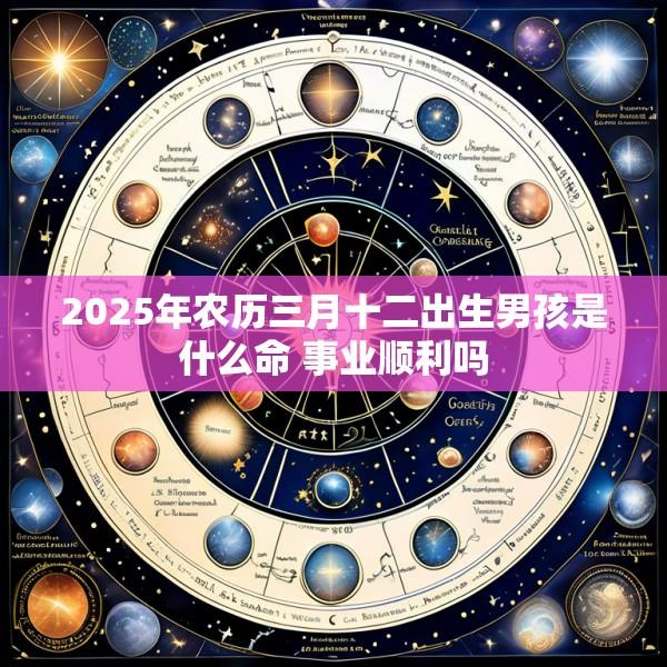 2025年农历三月十二出生男孩是什么命 事业顺利吗