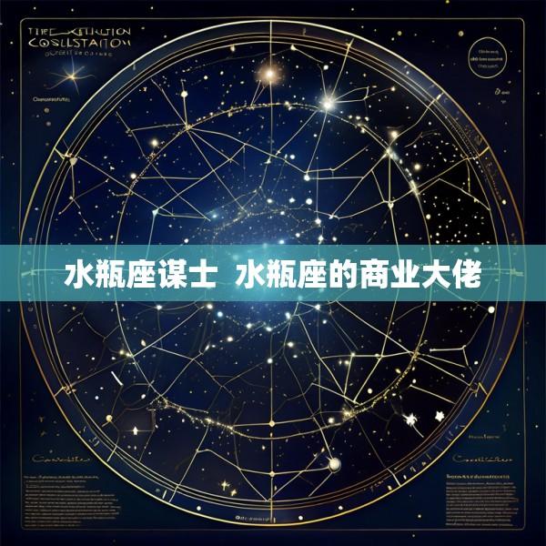 水瓶座谋士  水瓶座的商业大佬