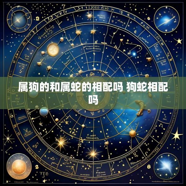 属狗的和属蛇的相配吗 狗蛇相配吗