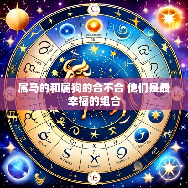 属马的和属狗的合不合 他们是最幸福的组合