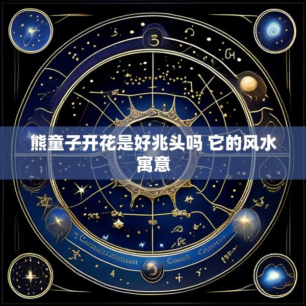 熊童子开花是好兆头吗 它的风水寓意