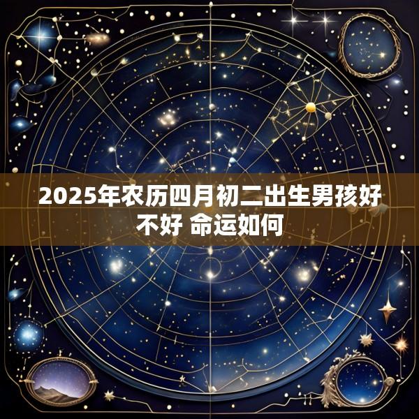 2025年农历四月初二出生男孩好不好 命运如何