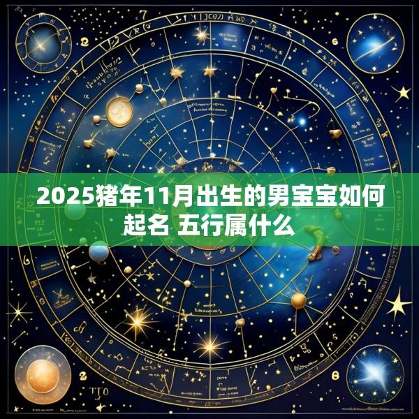 2025猪年11月出生的男宝宝如何起名 五行属什么