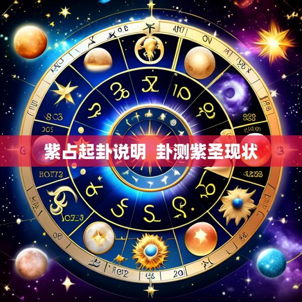 紫占起卦说明  卦测紫圣现状