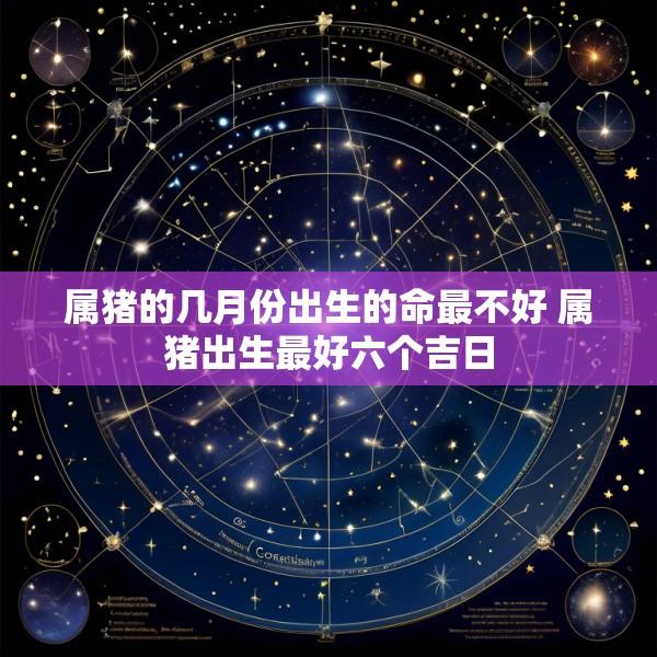 属猪的几月份出生的命最不好 属猪出生最好六个吉日