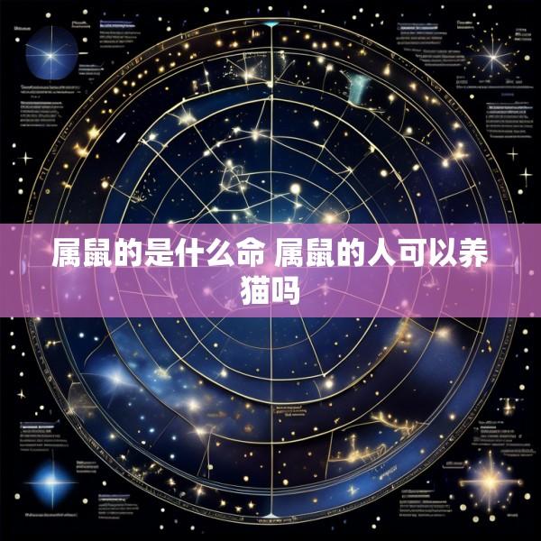 属鼠的是什么命 属鼠的人可以养猫吗