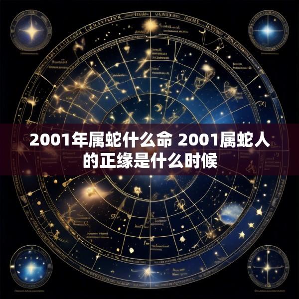 2001年属蛇什么命 2001属蛇人的正缘是什么时候