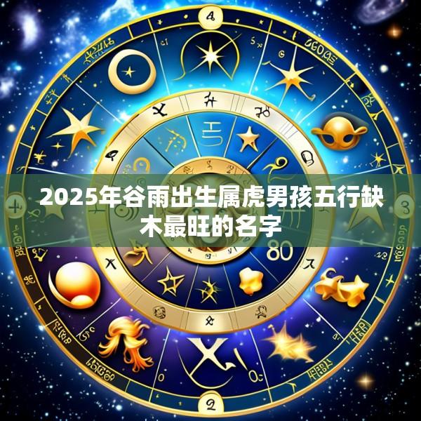 2025年谷雨出生属虎男孩五行缺木最旺的名字