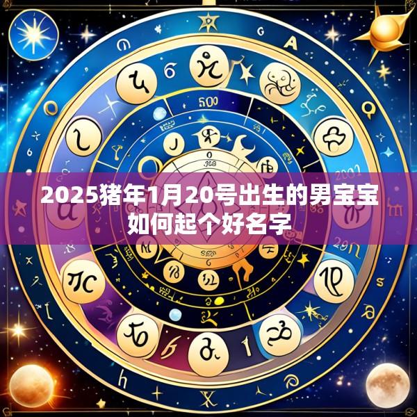 2025猪年1月20号出生的男宝宝如何起个好名字