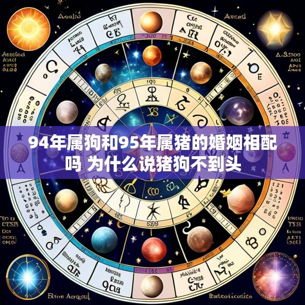94年属狗和95年属猪的婚姻相配吗 为什么说猪狗不到头