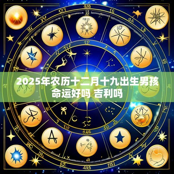 2025年农历十二月十九出生男孩命运好吗 吉利吗