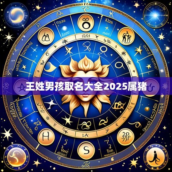 王姓男孩取名大全2025属猪