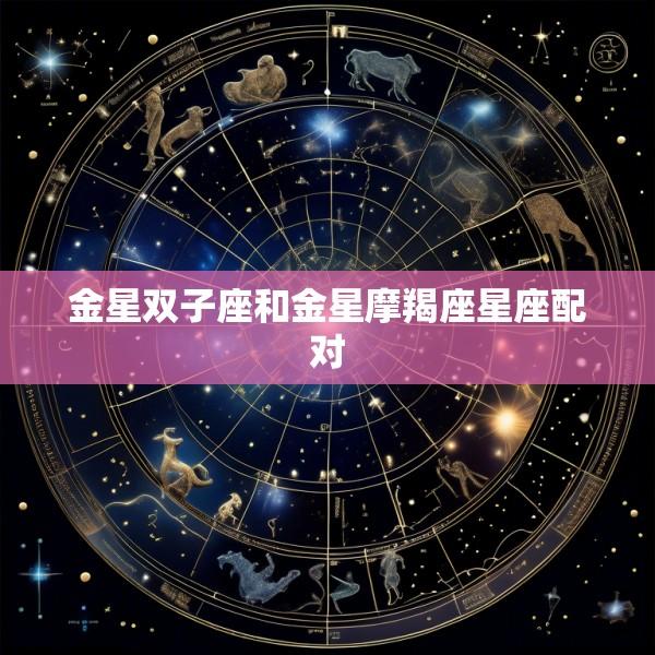 金星双子座和金星摩羯座星座配对
