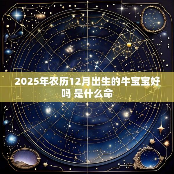 2025年农历12月出生的牛宝宝好吗 是什么命