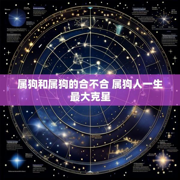属狗和属狗的合不合 属狗人一生最大克星