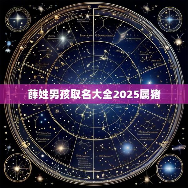薛姓男孩取名大全2025属猪