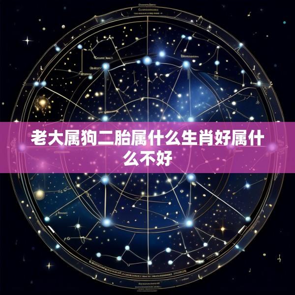 老大属狗二胎属什么生肖好属什么不好