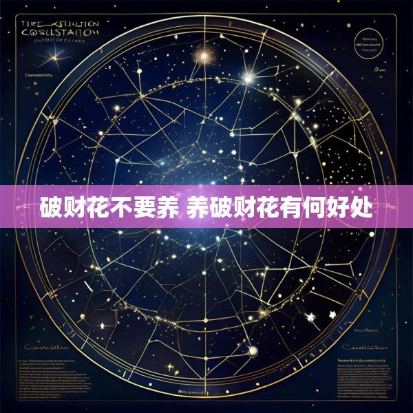 破财花不要养 养破财花有何好处