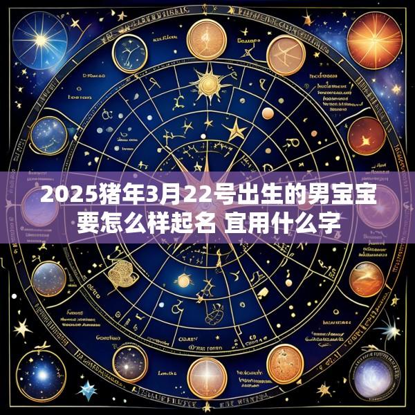 2025猪年3月22号出生的男宝宝要怎么样起名 宜用什么字