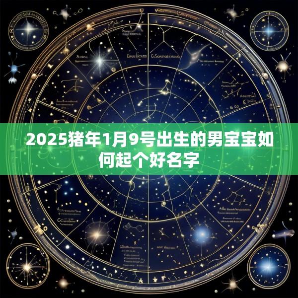 2025猪年1月9号出生的男宝宝如何起个好名字