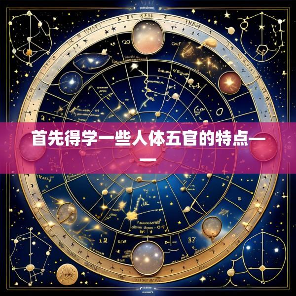 首先得学一些人体五官的特点——