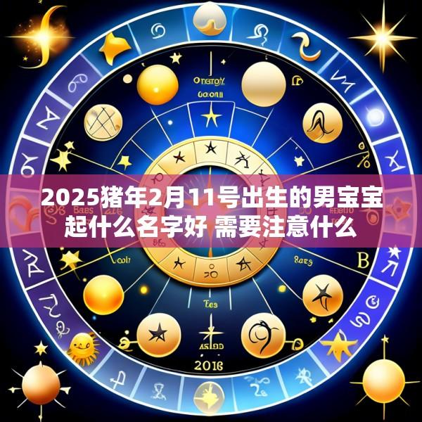 2025猪年2月11号出生的男宝宝起什么名字好 需要注意什么