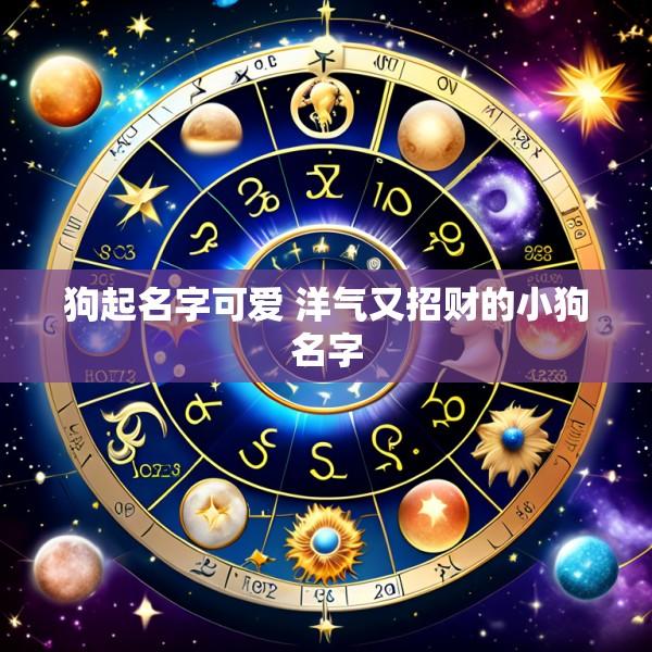 狗起名字可爱 洋气又招财的小狗名字