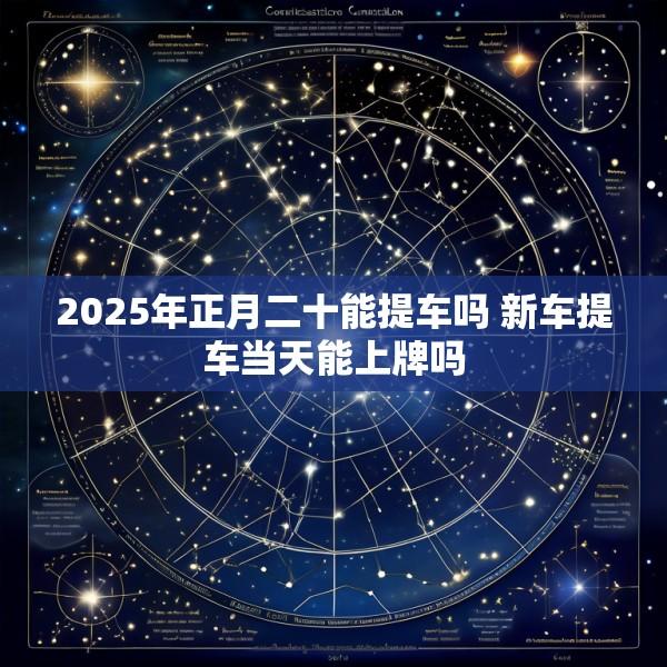 2025年正月二十能提车吗 新车提车当天能上牌吗