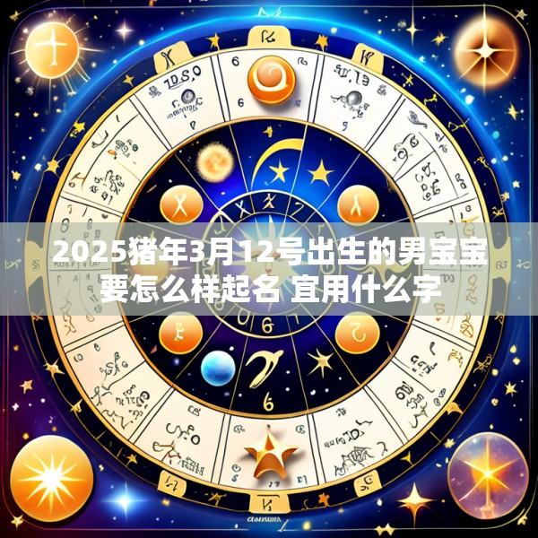 2025猪年3月12号出生的男宝宝要怎么样起名 宜用什么字