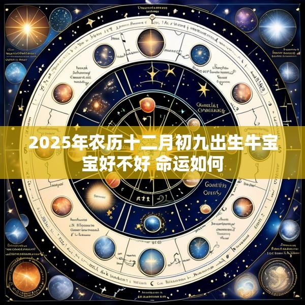 2025年农历十二月初九出生牛宝宝好不好 命运如何