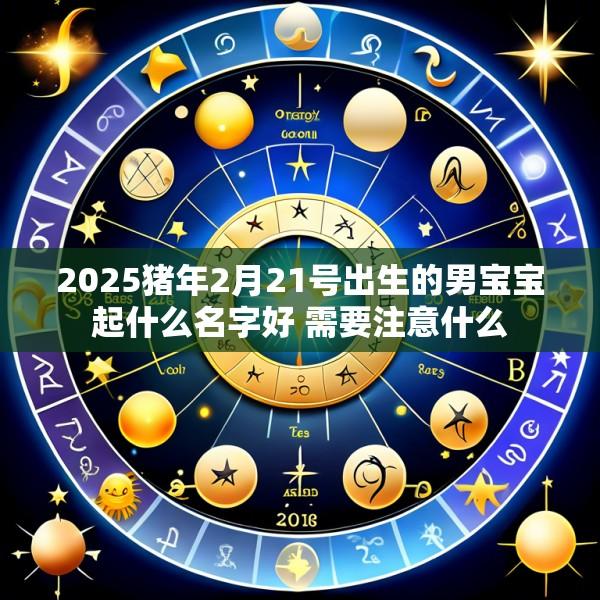 2025猪年2月21号出生的男宝宝起什么名字好 需要注意什么