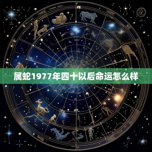 属蛇1977年四十以后命运怎么样