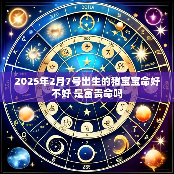 2025年2月7号出生的猪宝宝命好不好 是富贵命吗