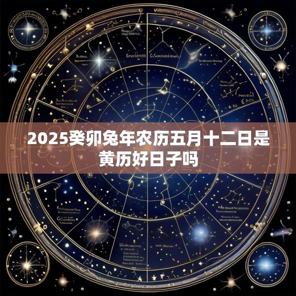 2025癸卯兔年农历五月十二日是黄历好日子吗