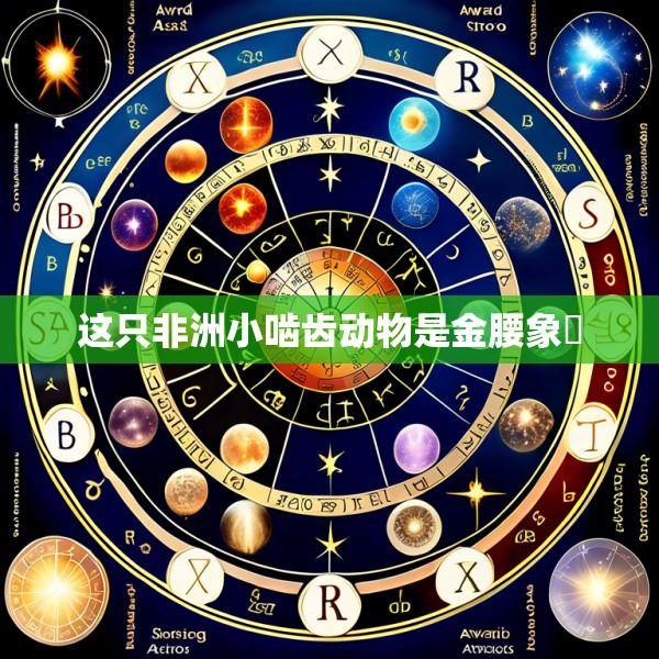 这只非洲小啮齿动物是金腰象鼩