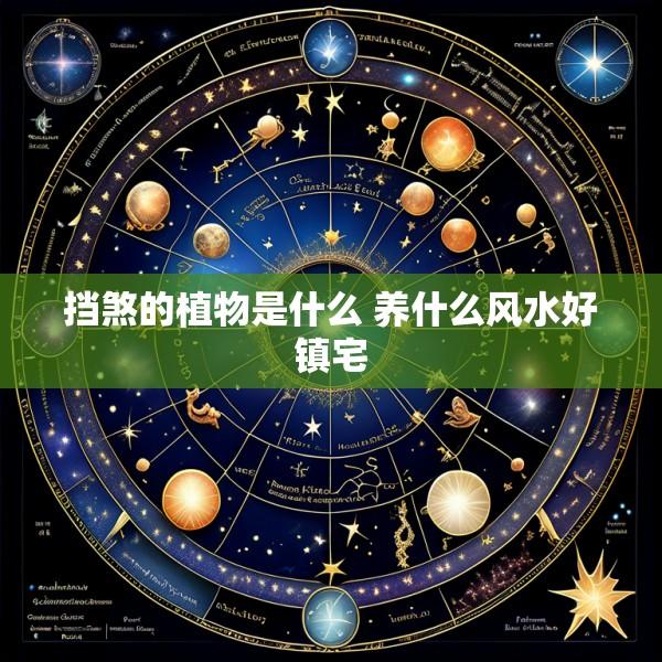 挡煞的植物是什么 养什么风水好镇宅