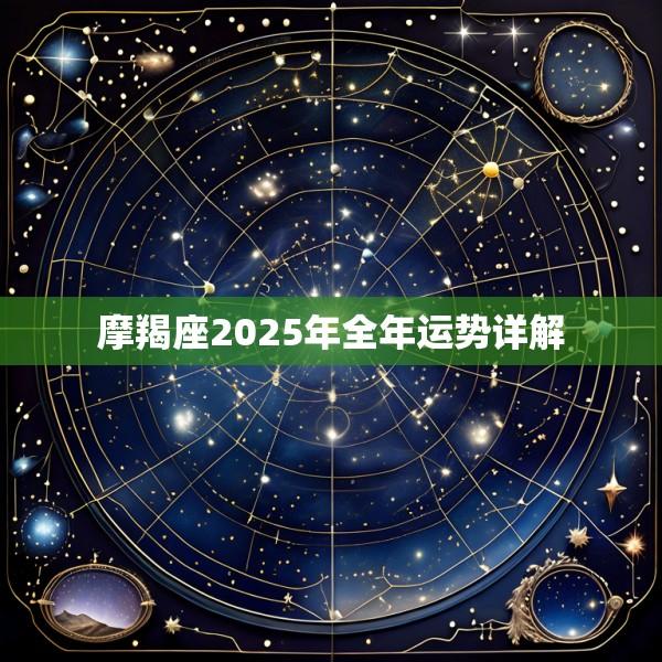 摩羯座2025年全年运势详解