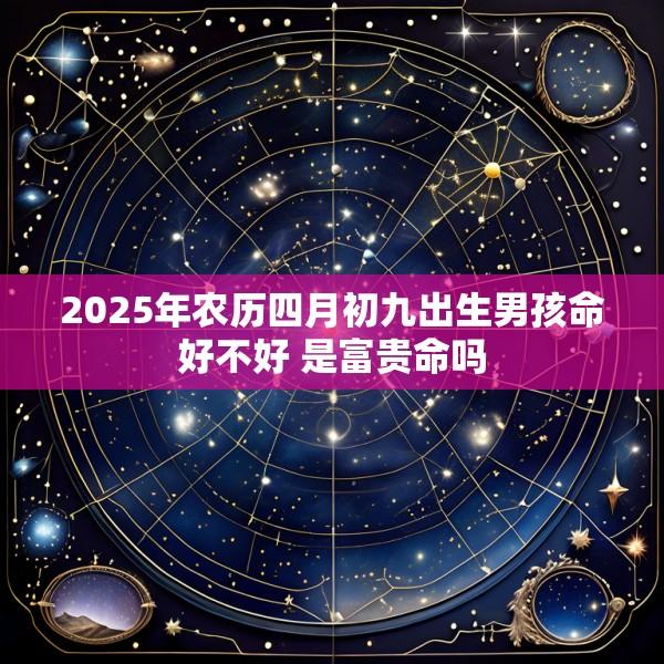 2025年农历四月初九出生男孩命好不好 是富贵命吗