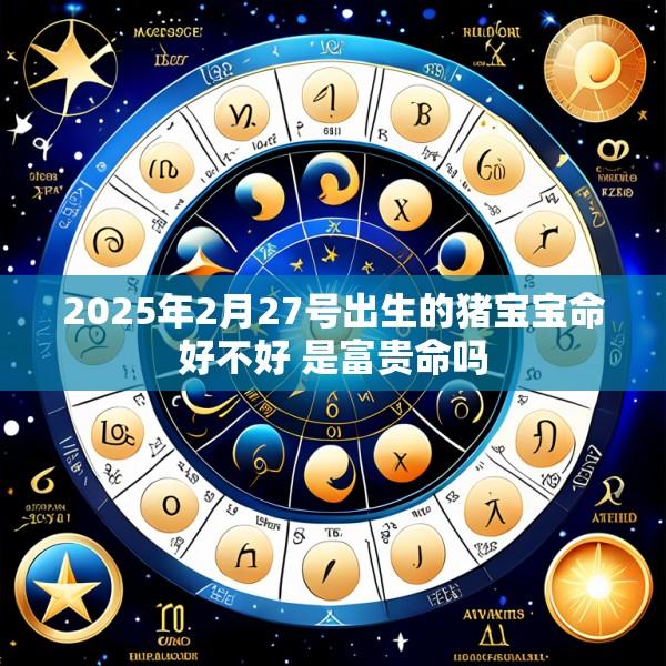 2025年2月27号出生的猪宝宝命好不好 是富贵命吗