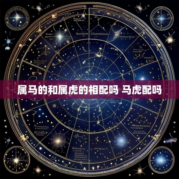属马的和属虎的相配吗 马虎配吗