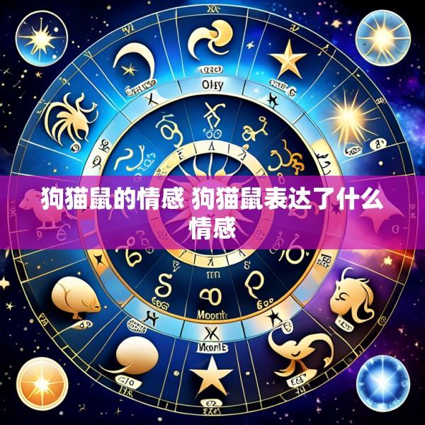 狗猫鼠的情感 狗猫鼠表达了什么情感