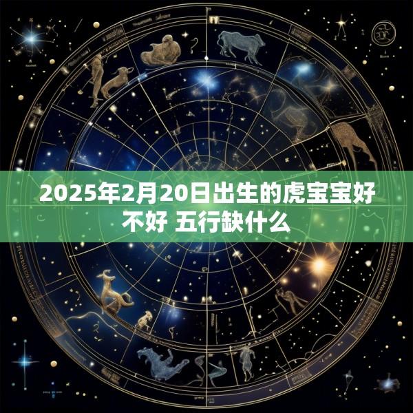 2025年2月20日出生的虎宝宝好不好 五行缺什么