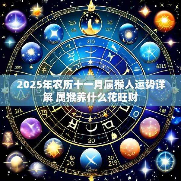 2025年农历十一月属猴人运势详解 属猴养什么花旺财