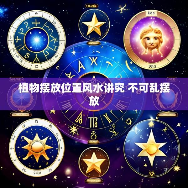 植物摆放位置风水讲究 不可乱摆放