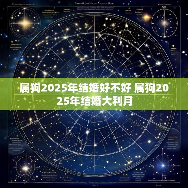 属狗2025年结婚好不好 属狗2025年结婚大利月