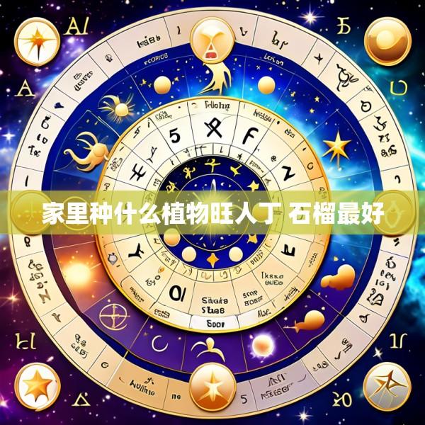 家里种什么植物旺人丁 石榴最好