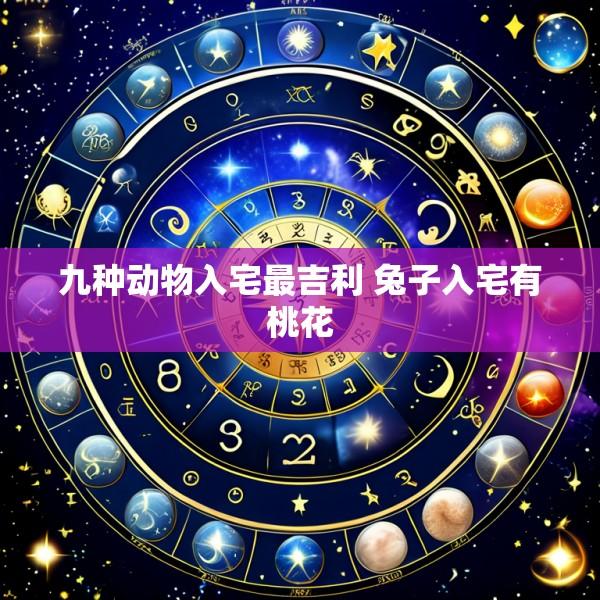 九种动物入宅最吉利 兔子入宅有桃花