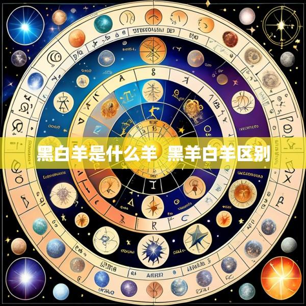 黑白羊是什么羊  黑羊白羊区别