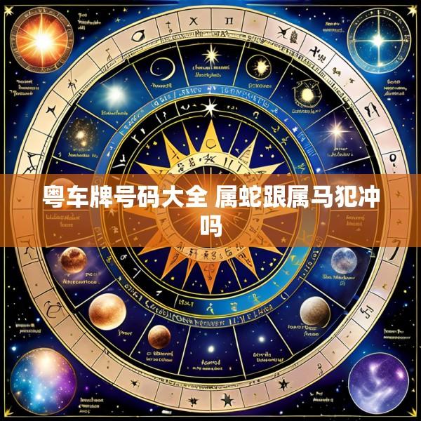 粤车牌号码大全 属蛇跟属马犯冲吗