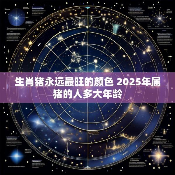 生肖猪永远最旺的颜色 2025年属猪的人多大年龄